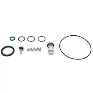 Exhaust Valve Kit - K007827K50